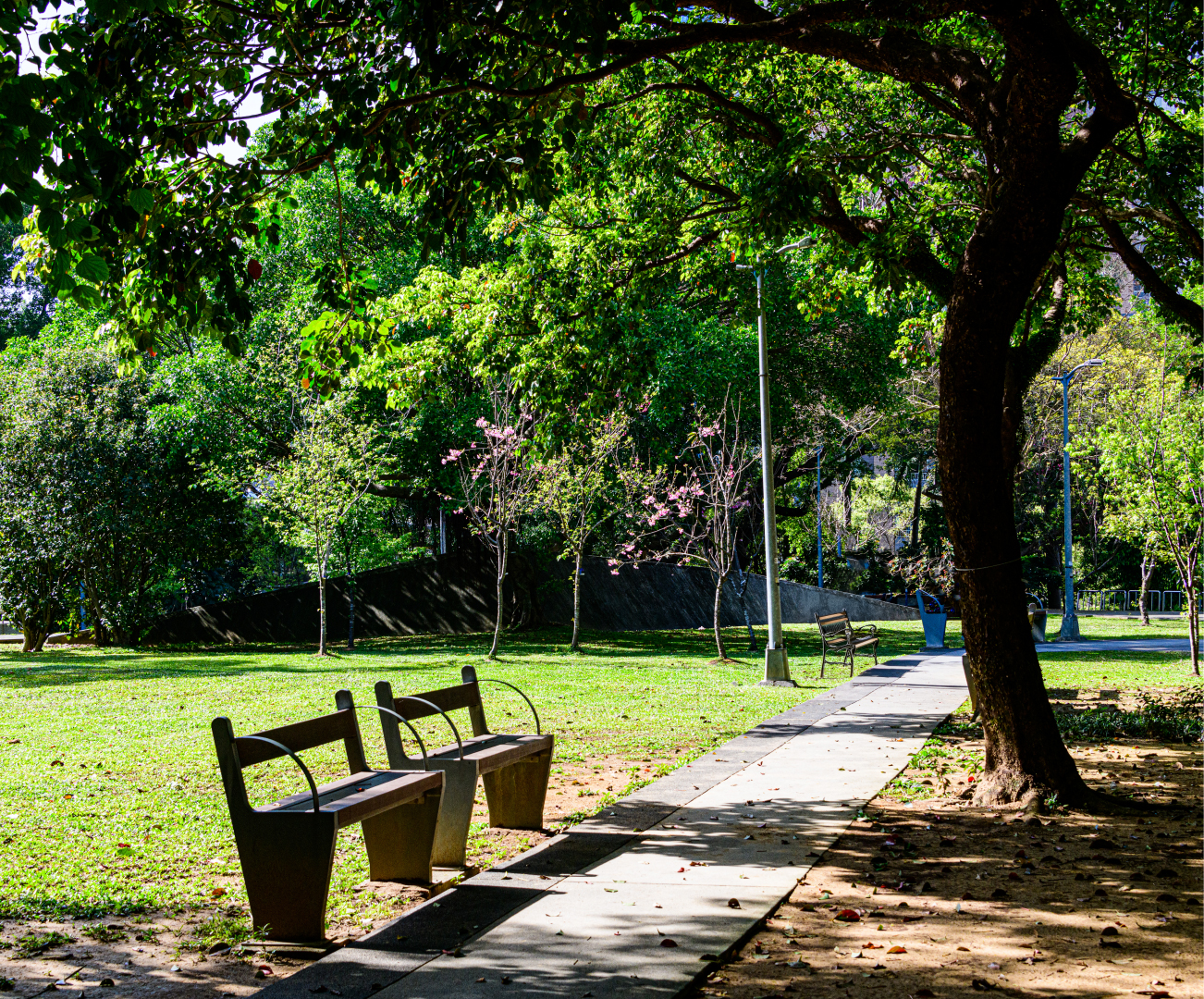 木柵公園